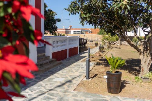 a sidewalk with plants and a building with trees at Albor Suites in Santa Brígida