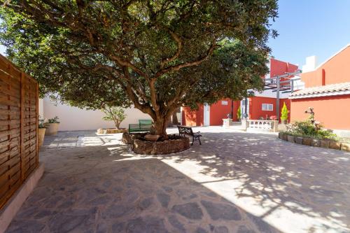a tree in a courtyard with a bench under it at Albor Suites in Santa Brígida