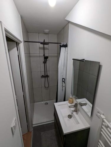 une salle de bain avec une douche, un lavabo et un miroir dans l'établissement APPART COSY - Saint Cybard - CENTRE VILLE, à Angoulême