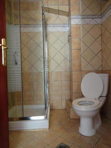 un bagno con wc e doccia di Blue Sky Villas a Skala Potamias