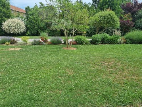 a lawn with a tree in the middle of it at Albizia bis in Pintheville