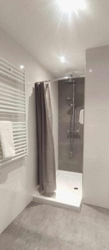 a bathroom with a shower with a shower curtain at Manzaneda Natura T2 dúplex in Ourense