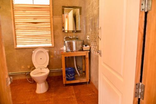 La salle de bains est pourvue de toilettes, d'un lavabo et d'une fenêtre. dans l'établissement The Naturewalk, à Mukteswar