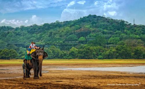 a couple of people riding on the back of an elephant at Simoya Nature Park in Dambulla