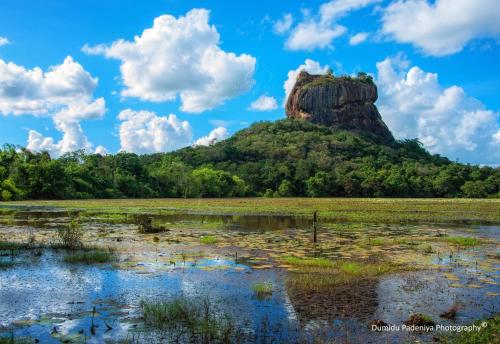 a mountain in the middle of a field at Simoya Nature Park in Dambulla