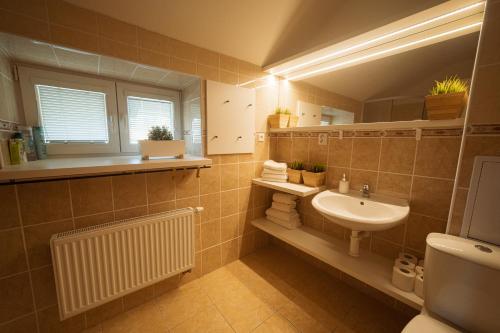 a bathroom with a sink and a toilet at Apartmán Jeseníky in Karlovice