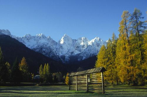 a wooden shed in a field with mountains in the background at Apartment Jakelj in Kranjska Gora