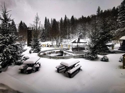 Hotel Draga Maria durante o inverno