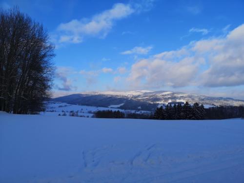 a snow covered field with trees and mountains in the background at Penzion U našich in Mladé Buky