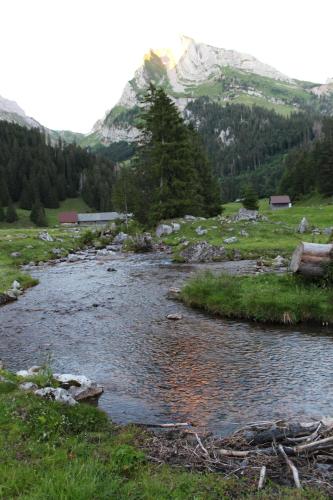 a river in a field with a mountain in the background at Hotel Sternen Unterwasser in Unterwasser