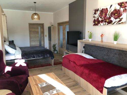 a room with two beds and a couch and a tv at U Fousáče in Hrabětice