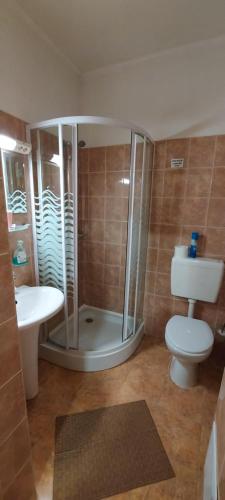 a bathroom with a shower and a toilet and a sink at Szent István Panzió in Hódmezővásárhely