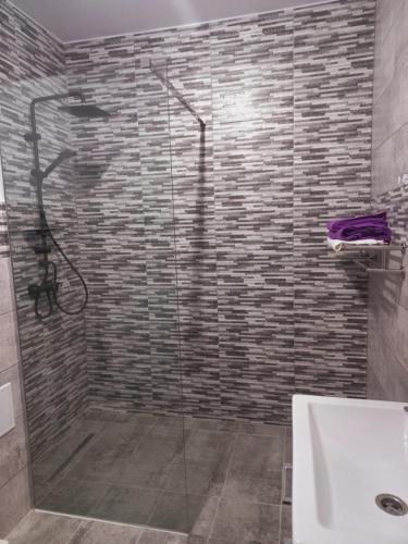 a bathroom with a glass shower with a sink at Collot Residence Sibiu in Sibiu