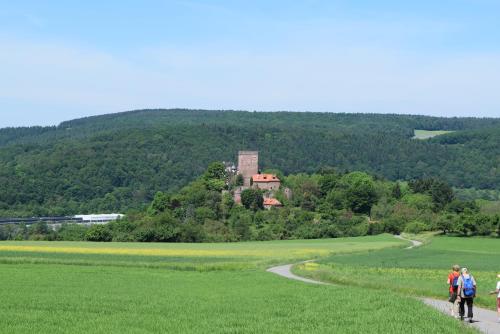 a group of people walking down a path in a field at Gasthaus & Hotel Drei Lilien in Werbach