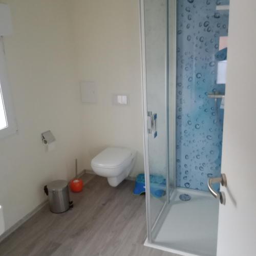 a bathroom with a toilet and a glass shower at Drahtesel Oase in Pömmelte