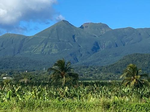 a field of corn with mountains in the background at Maison Petit Paradis in Basse-Terre