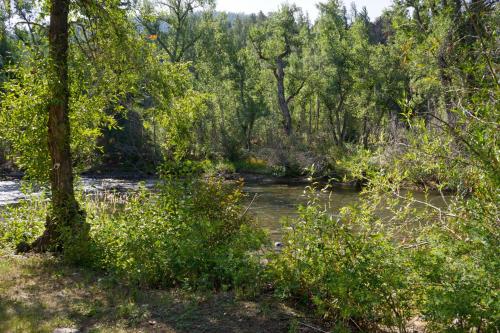 un río con árboles y arbustos junto a un bosque en Four Seasons Lodge, en South Fork