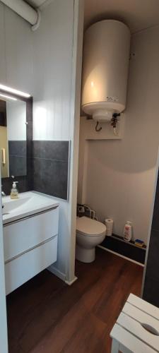 une salle de bain avec un lavabo blanc et des toilettes dans l'établissement Agréable studio bord de mer, à Saint-Cyprien