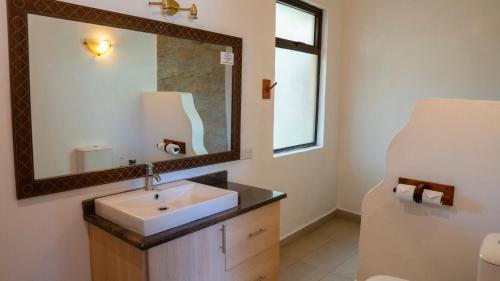 a bathroom with a sink and a mirror at Black Wattle House in Nakuru