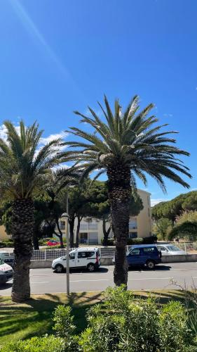 dos palmeras en un estacionamiento con coches en APPARTEMENT T2 GRUISSAN PLAGE DANS RÉSIDENCE CALME, en Gruissan