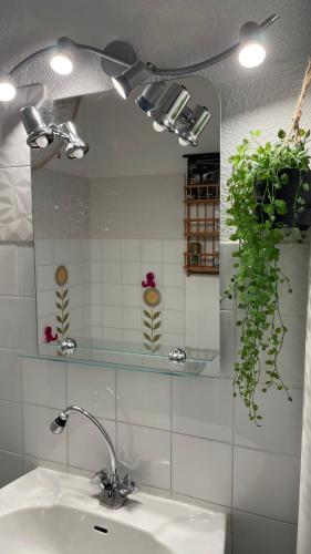 une salle de bain avec un lavabo et un miroir dans l'établissement APPARTEMENT T2 GRUISSAN PLAGE DANS RÉSIDENCE CALME, à Gruissan