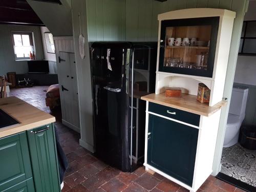 a kitchen with a black refrigerator and green cabinets at Âlde Bakhûs in Sondel