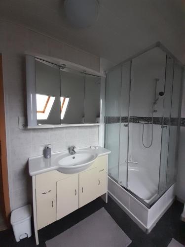 a bathroom with a sink and a shower at FeWo Karola in Ellenz-Poltersdorf