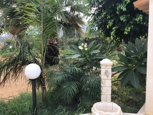 a garden with a stone pillar and plants at Scopello Guidaloca Villas in Scopello