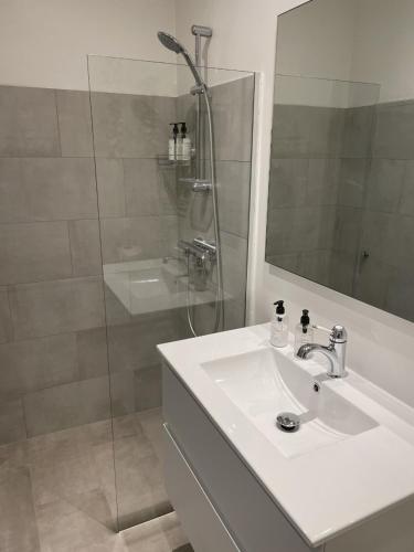 a bathroom with a sink and a shower with a shower at Trouville Bed & Breakfast in Hornbæk