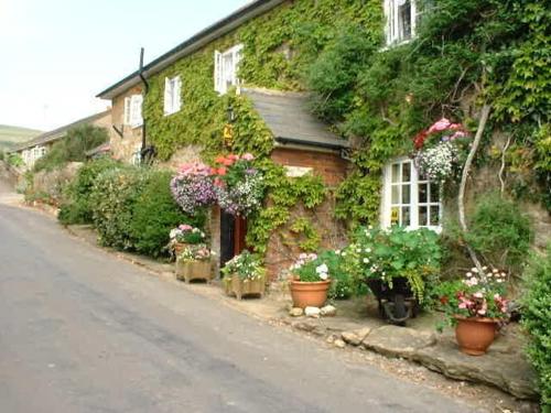 uma casa com plantas e flores ao lado dela em East Farm House B&B em Abbotsbury