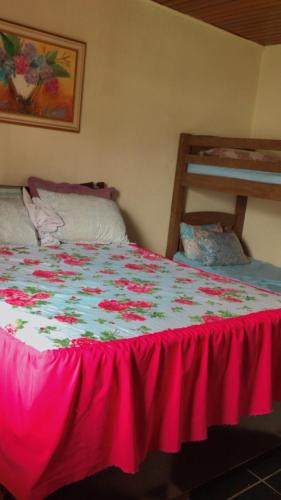 ein Schlafzimmer mit einem Bett mit einer rosa Decke darauf in der Unterkunft Casa para temporada e fins de semana in Itanhaém