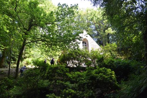 Gallery image of Le gîte de l'Araucaria in Ploërdut