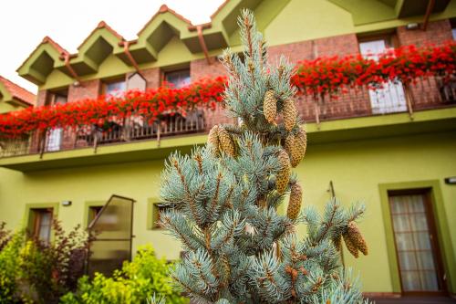 a christmas tree in front of a building with red flowers at Penzion Termal in Bojnice