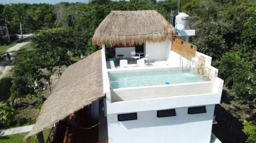 Πισίνα στο ή κοντά στο Royal Palm Bacalar Cabañas & Lagoon Club