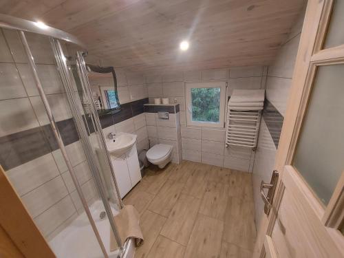 a small bathroom with a shower and a toilet at Apartament Ruska Bania Na Pograniczu in Lasowka