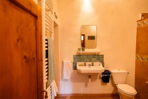 y baño con lavabo, aseo y espejo. en The Riverside Gîte Lagrasse, en Lagrasse