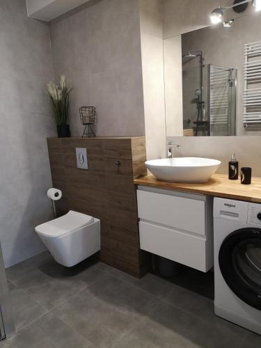 a bathroom with a sink and a toilet and a washing machine at Apartament Piaskowy Sunset Resort in Grzybowo