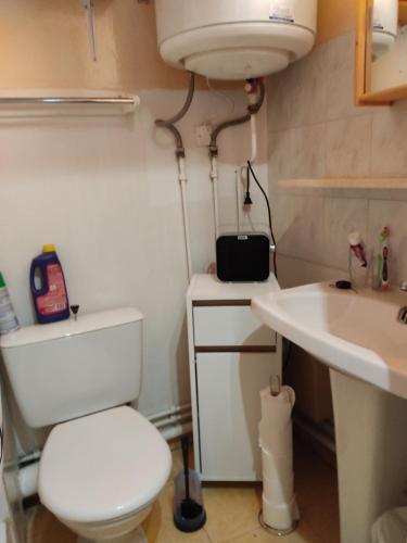 een kleine badkamer met een toilet en een wastafel bij PETIT STUDIO 17 M2 in La Foux