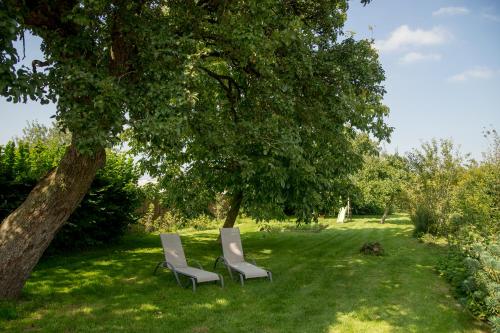 La Ferme aux Charmes – Photos 5