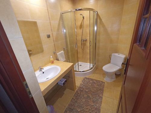 a bathroom with a shower and a sink and a toilet at U Eli I Tomka in Krzyżowa