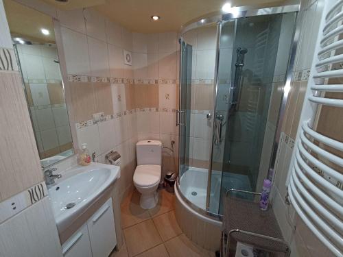 a bathroom with a shower and a toilet and a sink at U Eli I Tomka in Krzyżowa