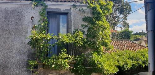 Casa Lumera – Fotoşəkillər 3