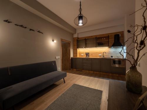 a living room with a couch and a kitchen at Signature Aparthotel - Boutique in Galaţi