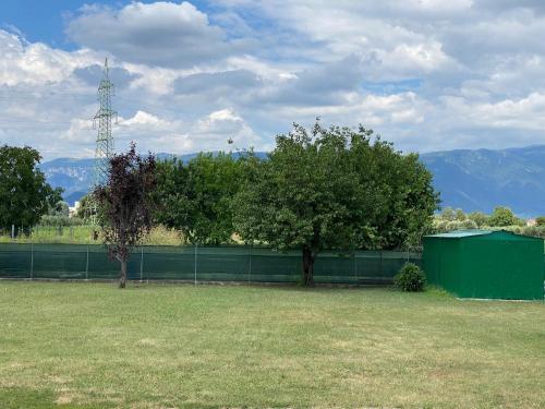 two trees in a field with a fence at Bed & Breakfast Ca'Bassano in Bassano del Grappa