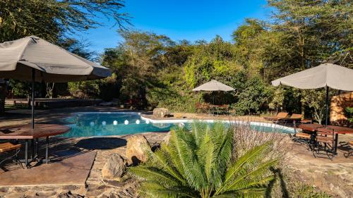 una piscina con sombrillas y sillas y una piscina en The Senna House en Nakuru