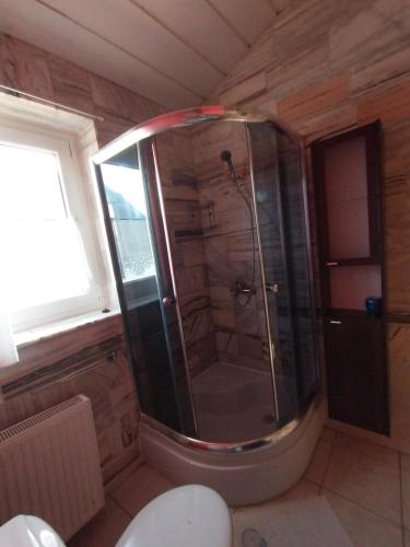 a bathroom with a shower with a toilet and a window at Willa Karwia in Karwia