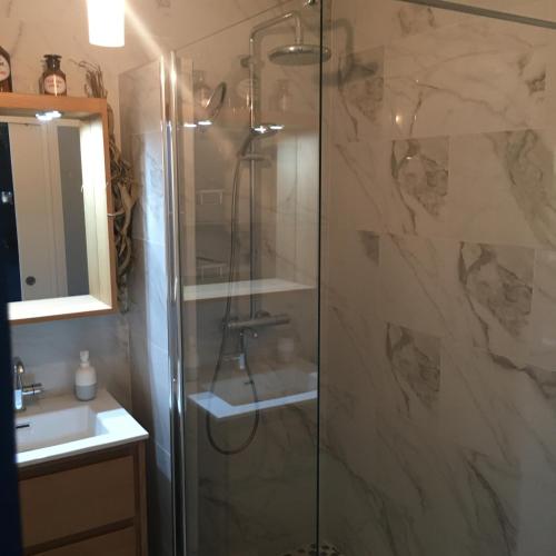 une douche avec une porte vitrée à côté d'un lavabo dans l'établissement Le Studio Central Park, à Cannes