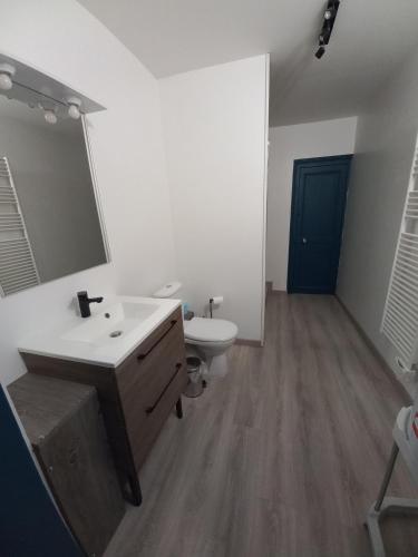 une salle de bain avec un lavabo, des toilettes et un miroir dans l'établissement Entre plage et port de Fécamp, à Fécamp