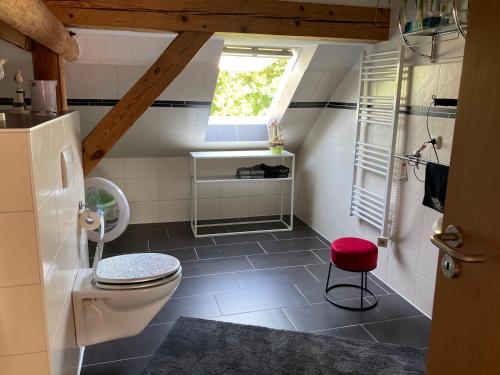 a bathroom with a toilet and a window at Landhausidyll Apartment Wohn- und Schlafzimmer in Klütz