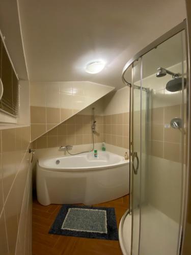 a bathroom with a bath tub and a shower at Apartment Krkonošská in Tanvald